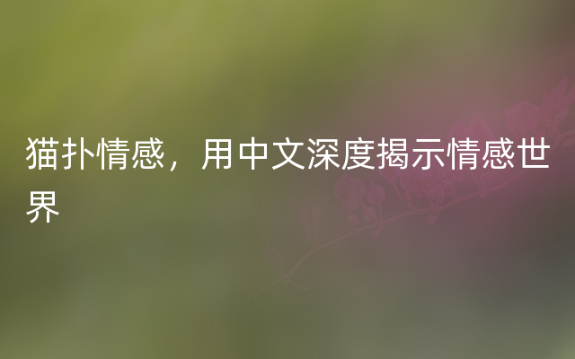 猫扑情感，用中文深度揭示情感世界