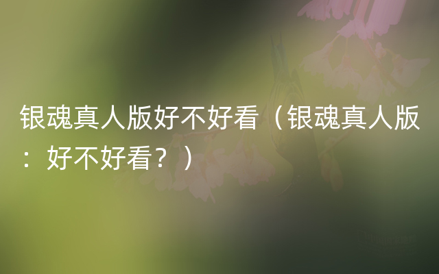 银魂真人版好不好看（银魂真人版：好不好看？）