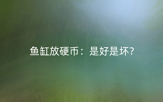 鱼缸放硬币：是好是坏？